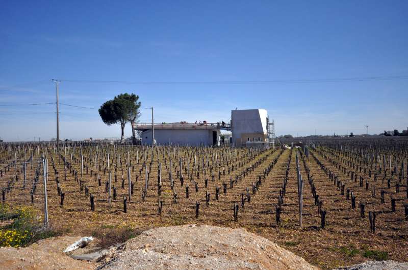 Le Pin, the new Chai takes shape